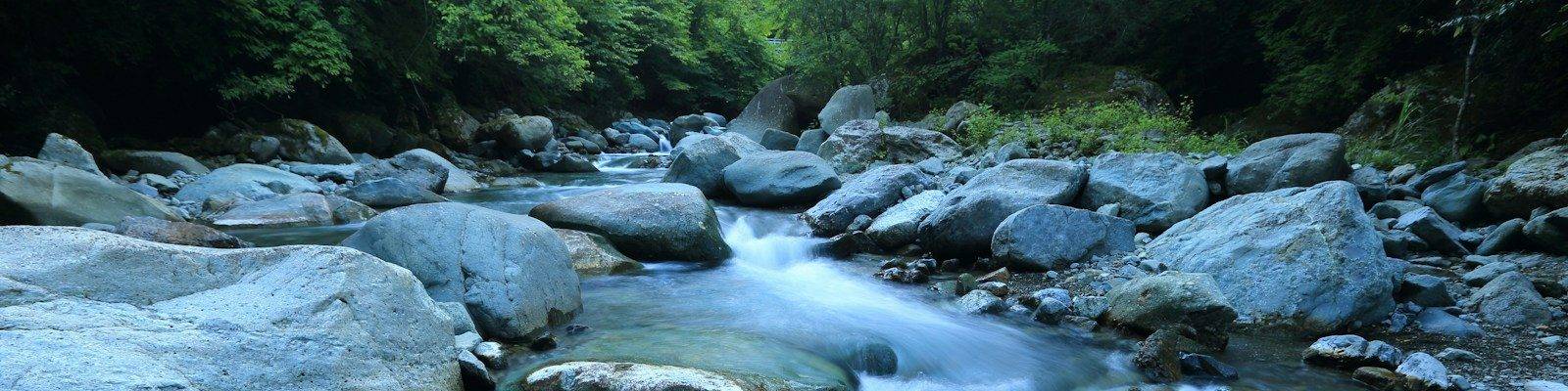 body river surrounded by dress