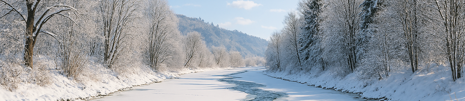 Zamrzlá řeka Ostravice ve Frýdku‑Místku obklopená zasněženými stromy pod modrou zimní oblohou.